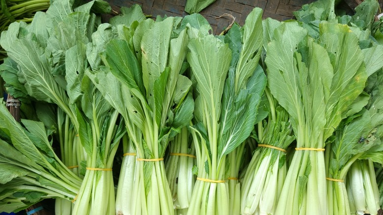 bundles of mustard greens