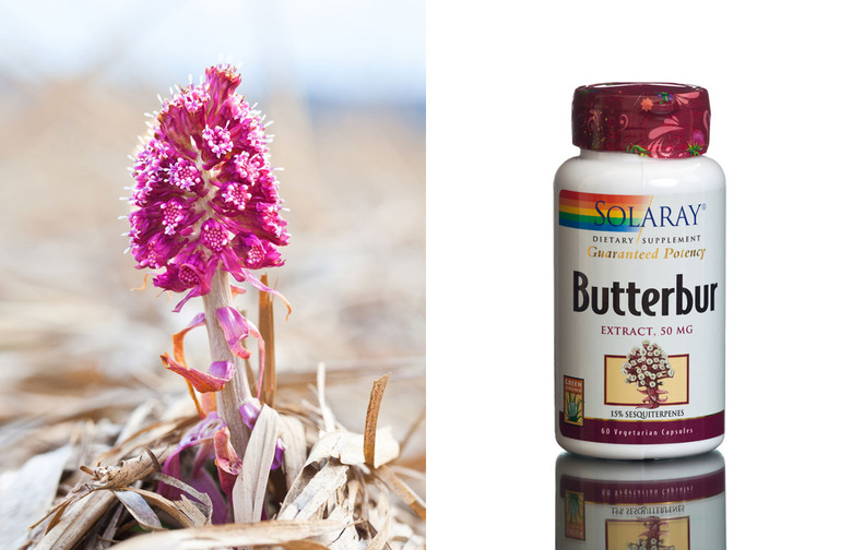 Butterbur