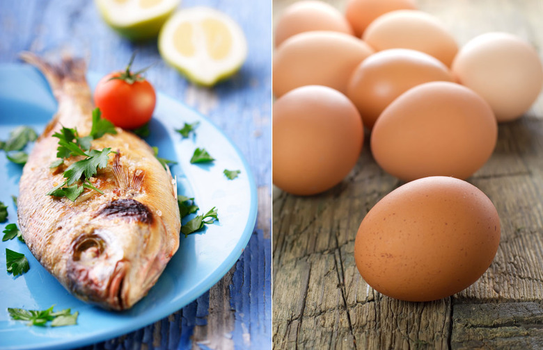 Omega-3 Fatty Acids