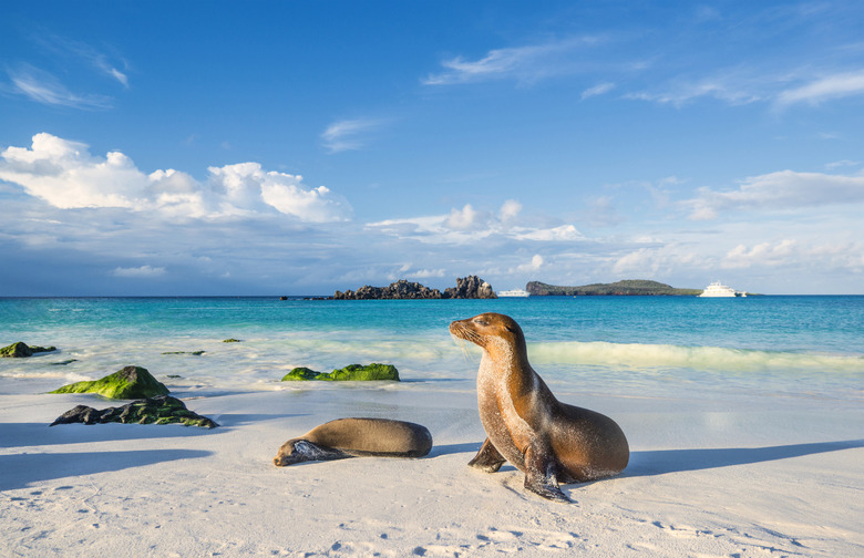 Galapagos Islands, Ecuador