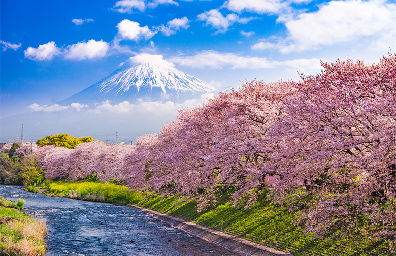 Mount Fuji, Japan