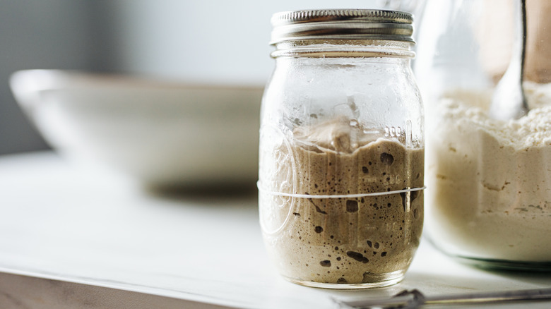 Sourdough starter in a jar on a wooden bench