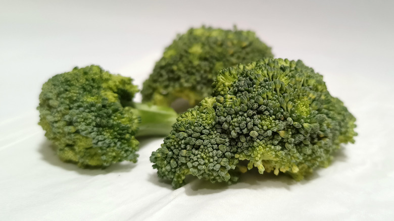 Wilted broccoli on white backdrop