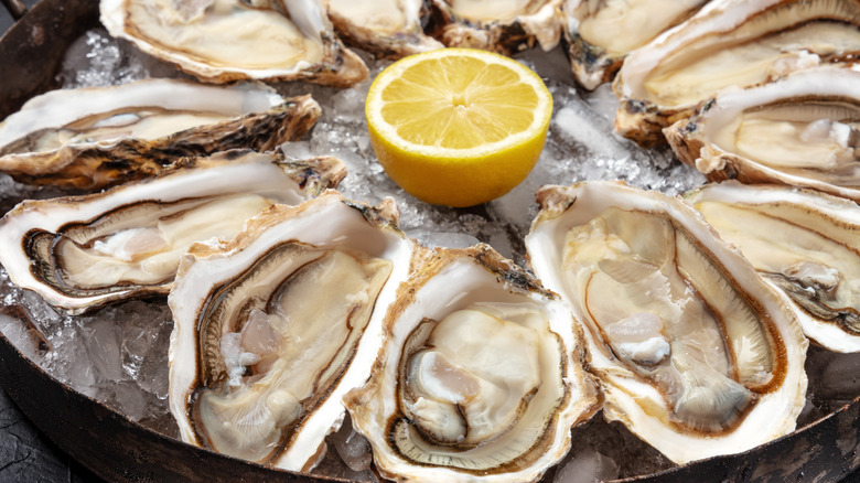 tray of raw oysters over ice
