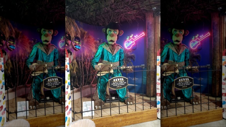 Animatronic cat dressed like Elvis Presley at Jungle Jim's in Fairfield