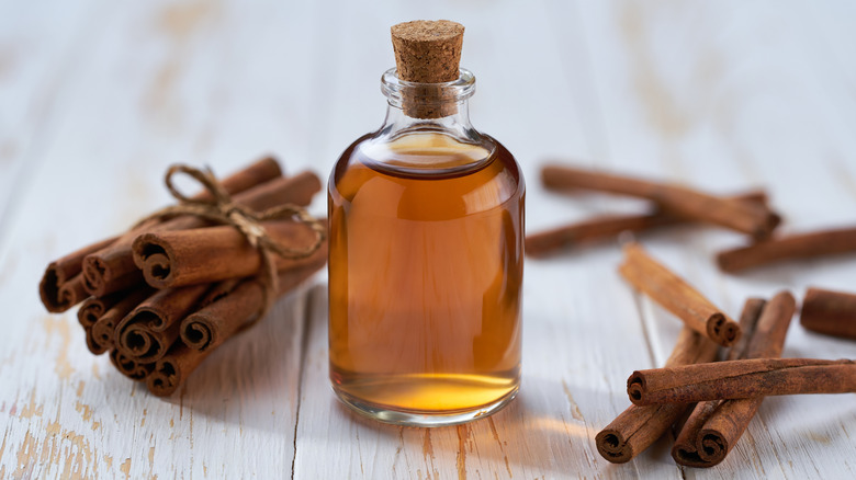 Bottle of cinnamon essential oil with loose and bundled cinnamon sticks