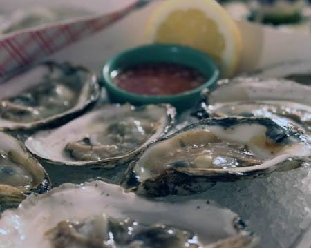 Oysters