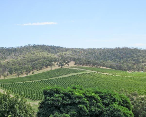 De Bortoli Wines