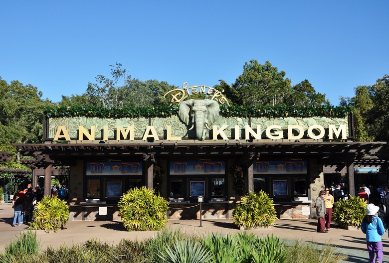 Animal Kingdom's sign has a dragon for a reason