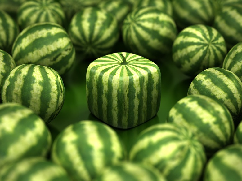 fruit shapes