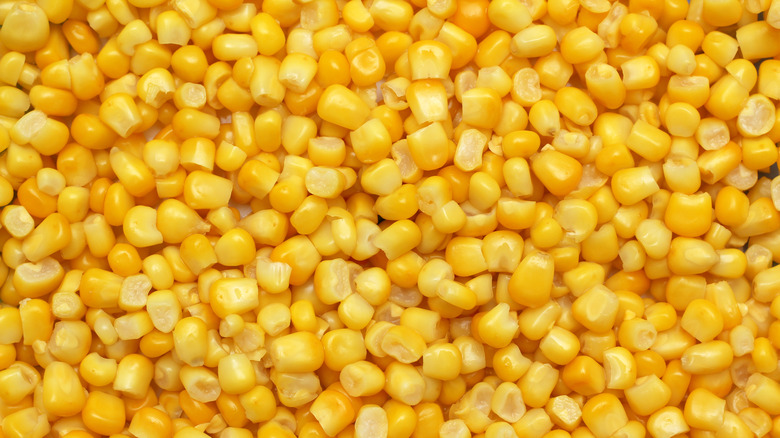 Close-up of sweet corn niblets