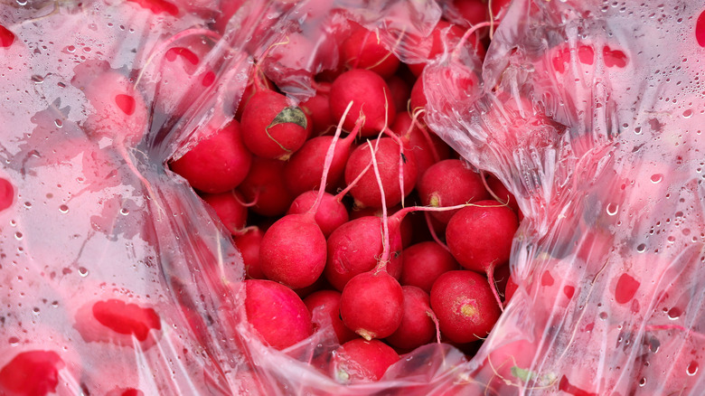 Radishes in plastic bag