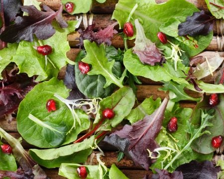 Organic Spring Mix Lettuce