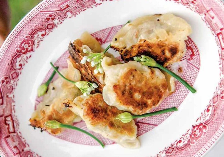 Pork and Chive Dumplings Recipe