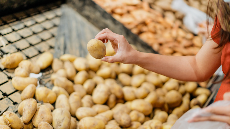 Person picking potato from pile