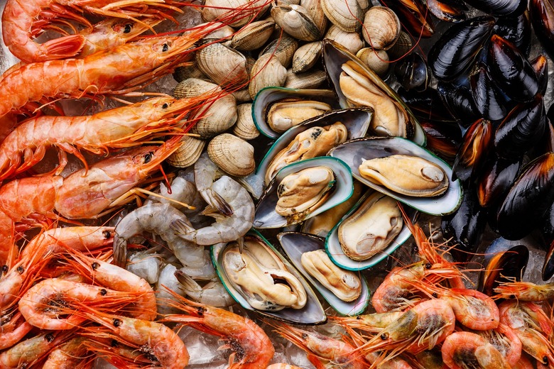 shellfish