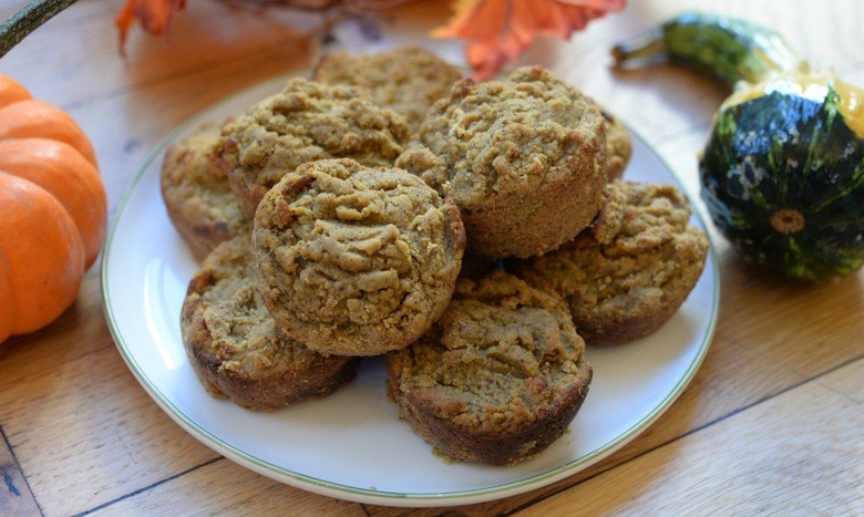 pumpkin protein muffins