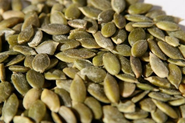 Pumpkin Seeds