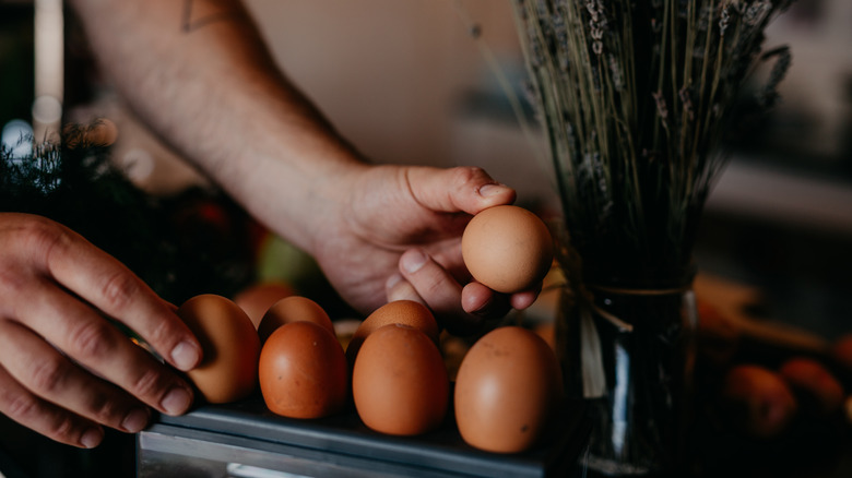 hand taking egg from carton