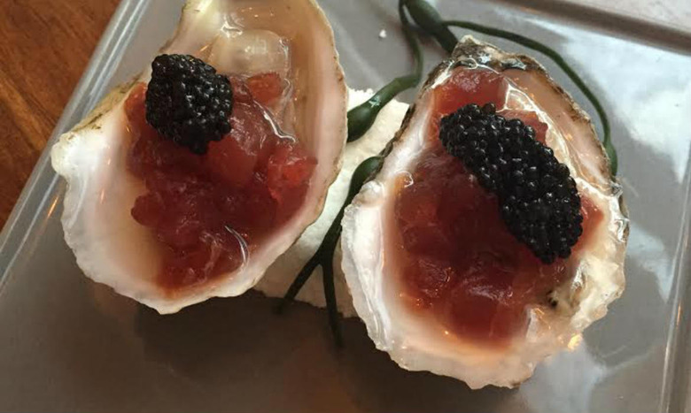oyster
