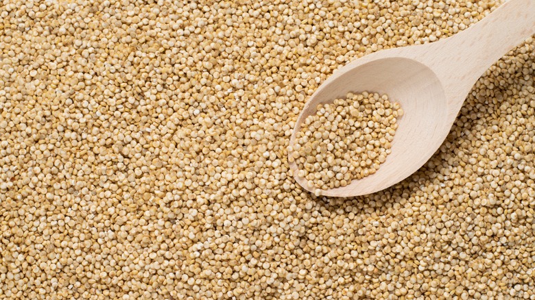 uncooked quinoa grains