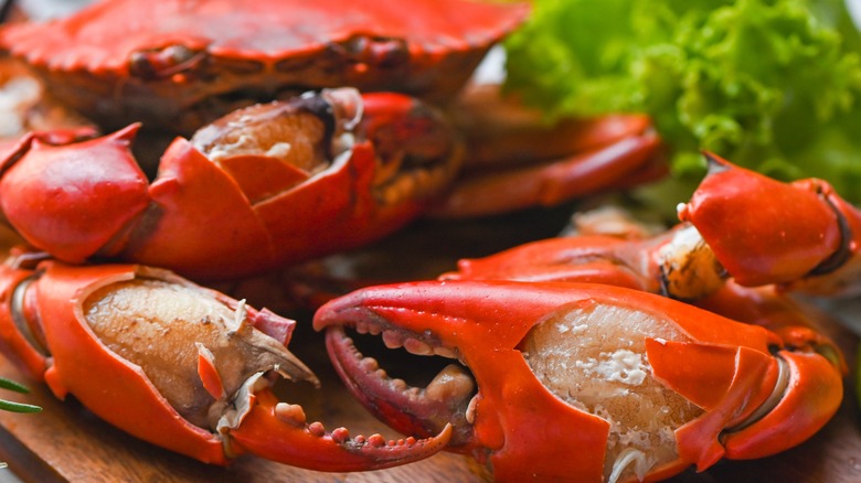 Cooked crab on wooden board 