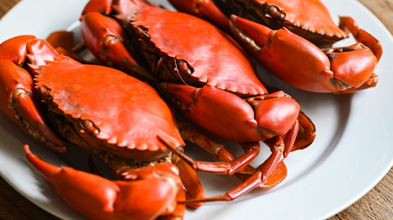 Plate with three crabs 
