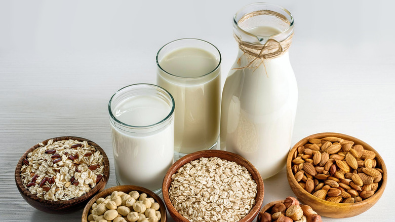 Dairy milk alternatives surrounded by bowls of nuts and grain