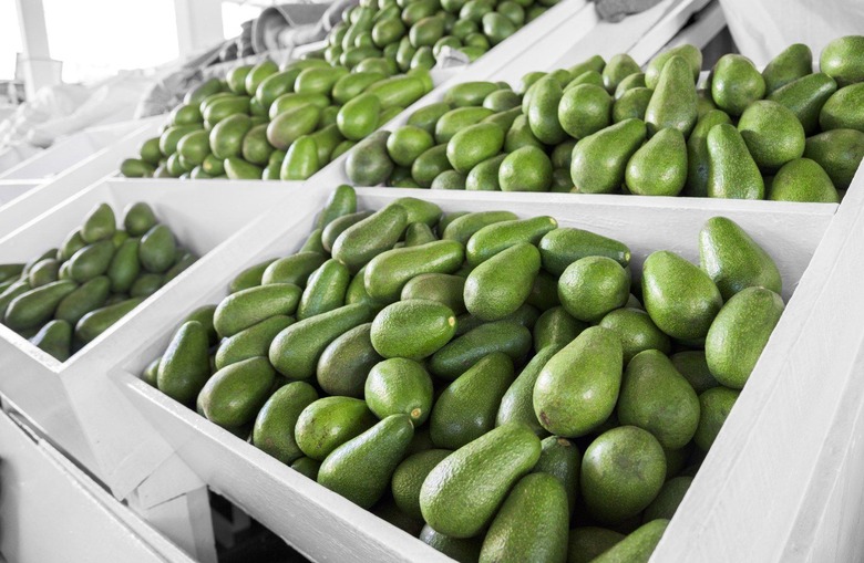 Replace These 15 Bad-Fat Ingredients With Avocado