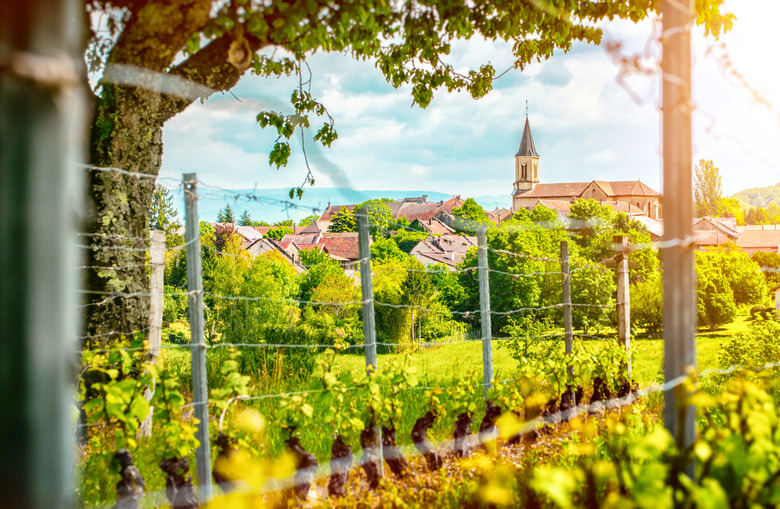 Rhone's wine regions.