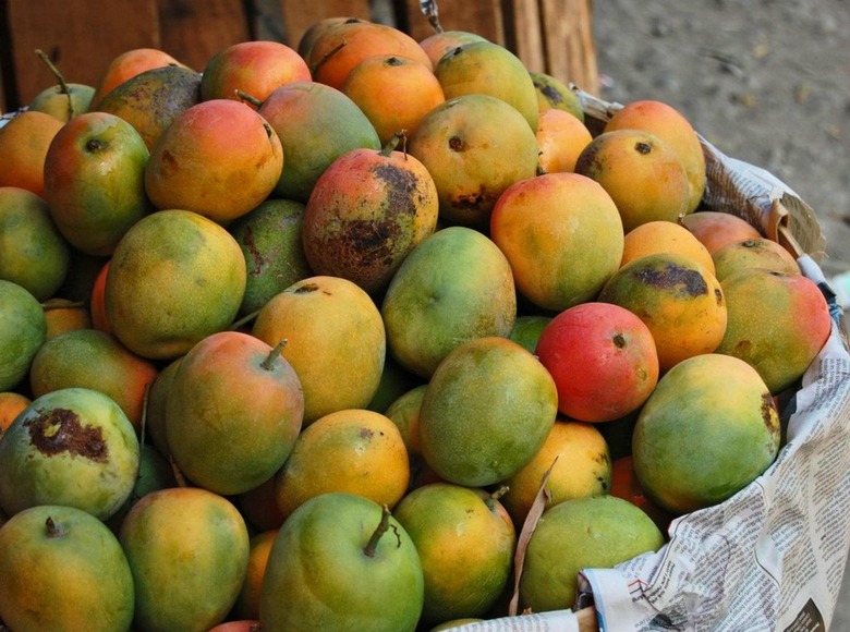 mangoes