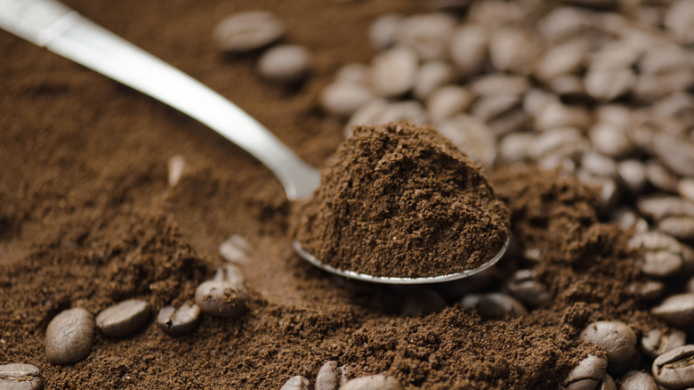 coffee ground on a spoon