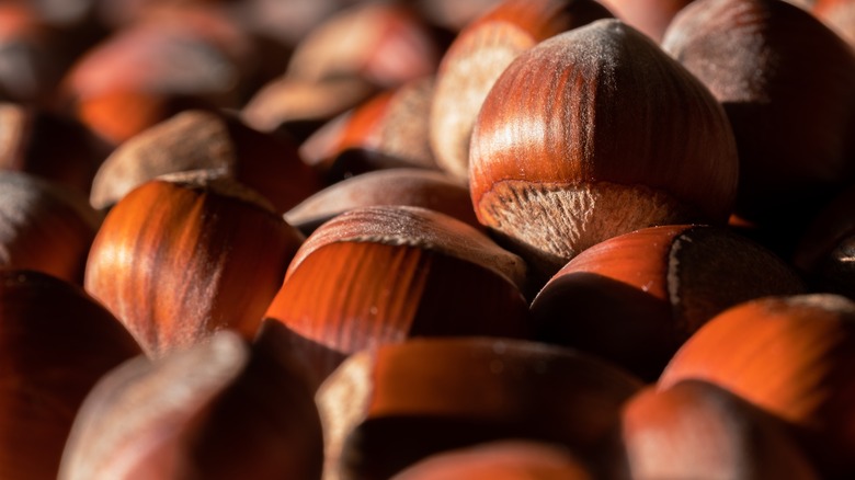 closeup of hazelnuts