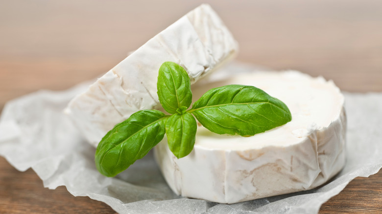 Goat cheese wheels and basil