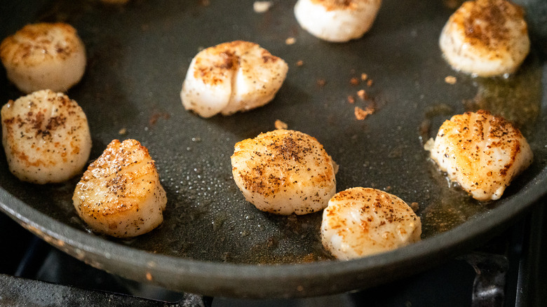 seared scallops in pan 