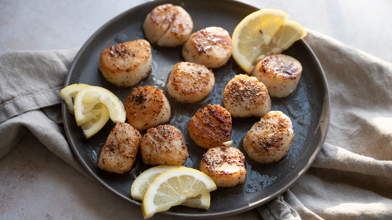 simple seared scallops on plate