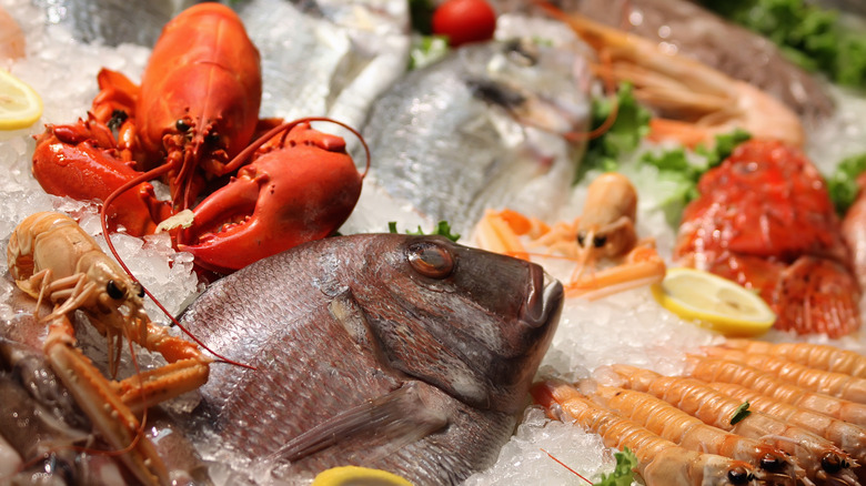 Variety of shellfish on ice