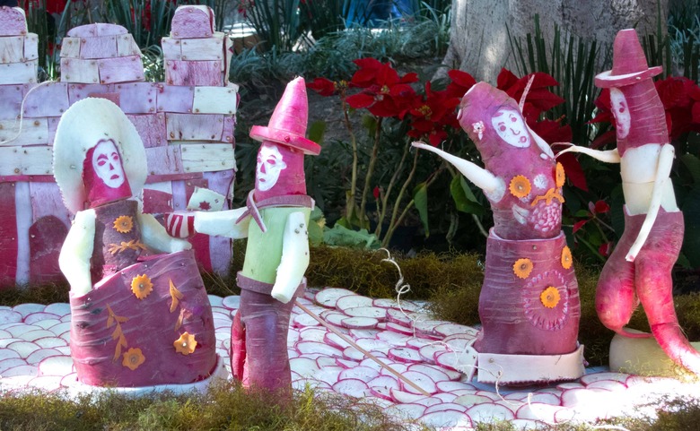 Night of Radishes (Oaxaca, Mexico) 