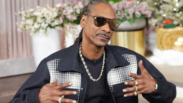 Snoop Dogg on the Jennifer Hudson Show