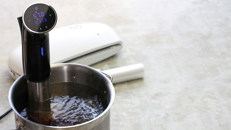 sous vide machine vacuum sealer
