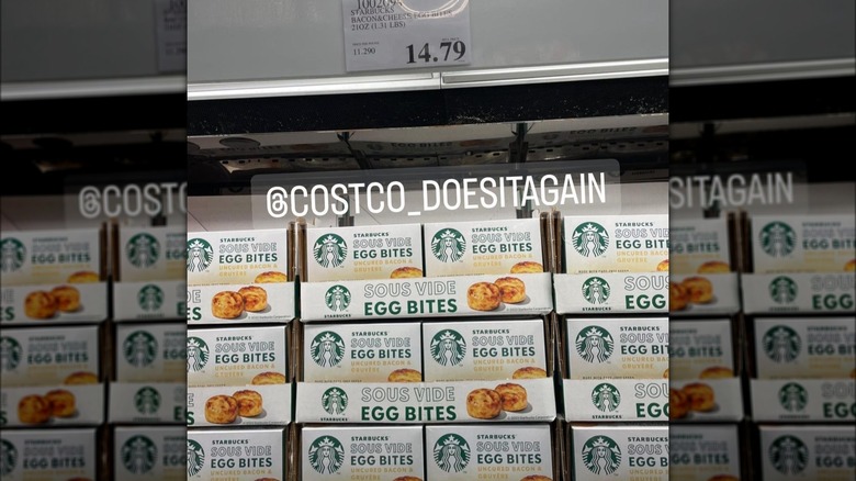 boxes of Starbucks egg bites