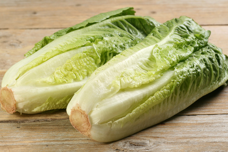 Romaine lettuce