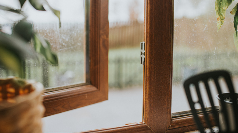 Open window behind plants and an out-of-focus spatula
