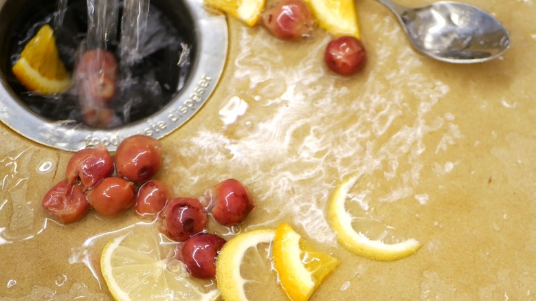 lemons grapes going down disposal
