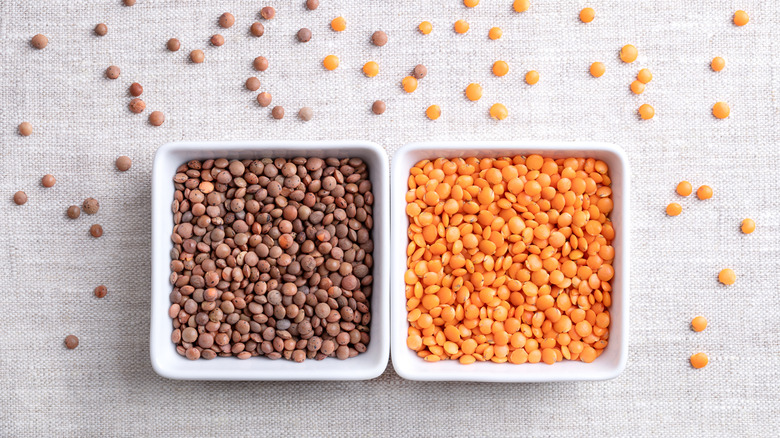 Two varieties of lentils in bowls