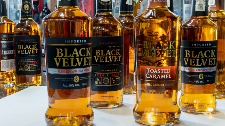 Bottles of Black Velvet Blended Canadian Whisky