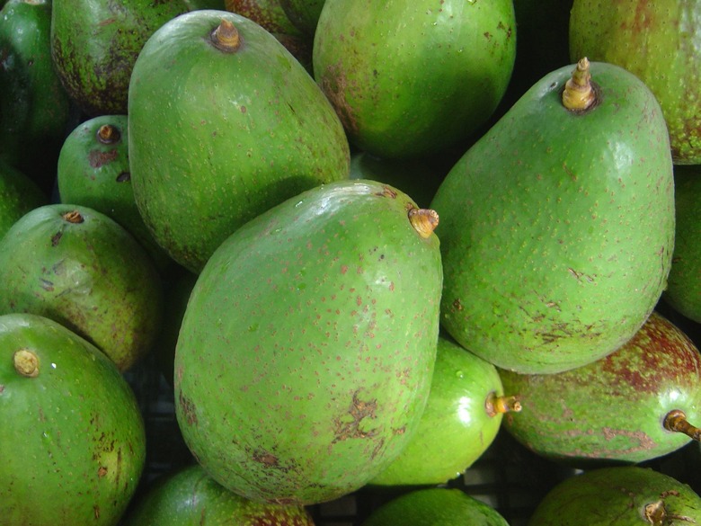 avocados