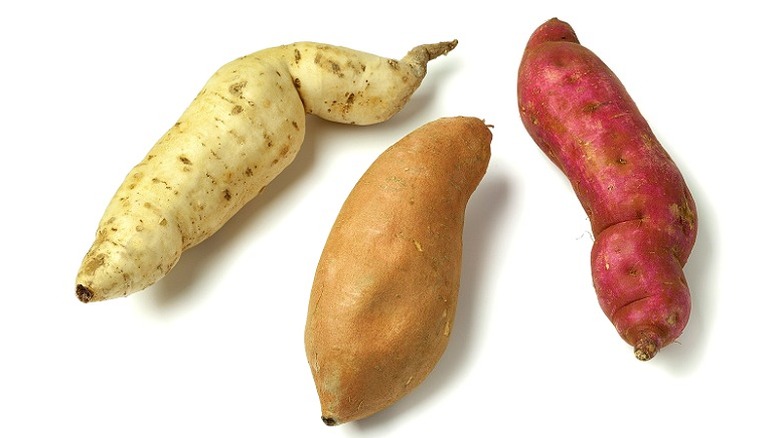 Sweet potatoes with different colored skin