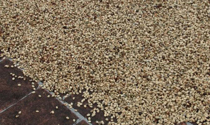 Coffee beans