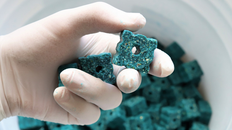 Hand holding blocks of rat poison